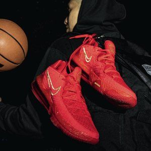 LeBron 17 Low Titan -  Size:10.5 - GREAT Condition